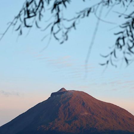 Cantinho Dos Cagarros Lajes do Pico Buitenkant foto