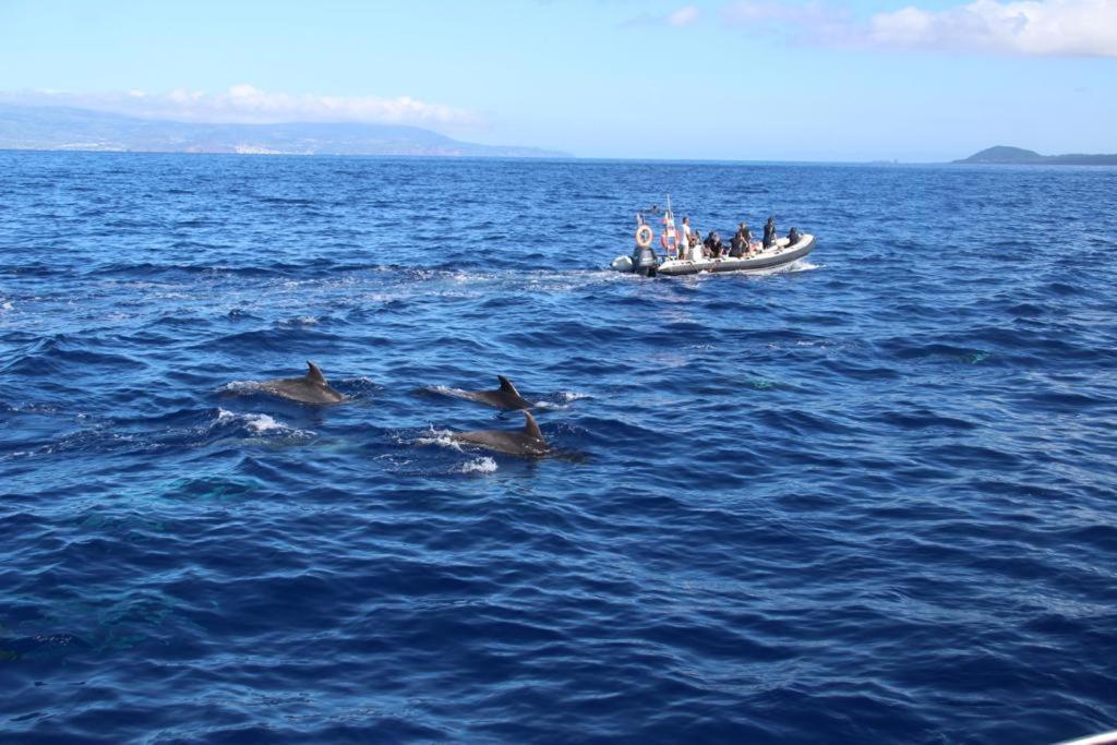 Cantinho Dos Cagarros Lajes do Pico Buitenkant foto