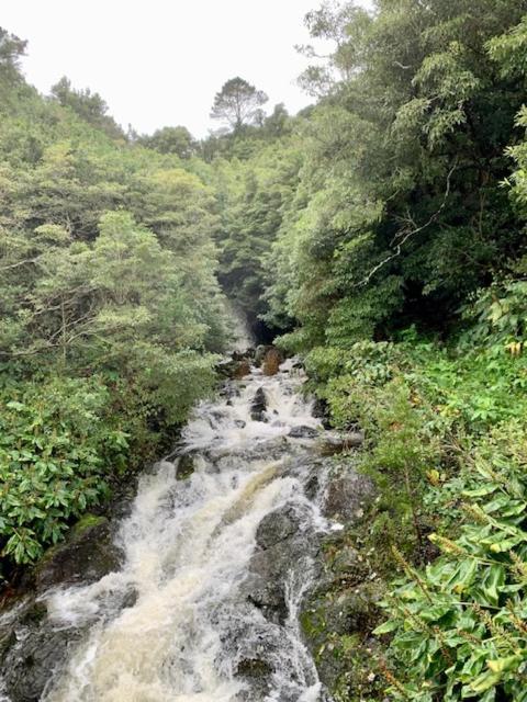 Cantinho Dos Cagarros Lajes do Pico Buitenkant foto