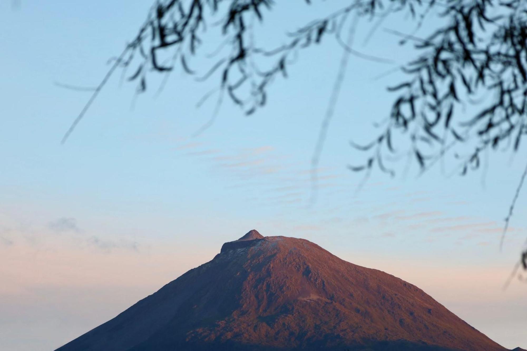 Cantinho Dos Cagarros Lajes do Pico Buitenkant foto